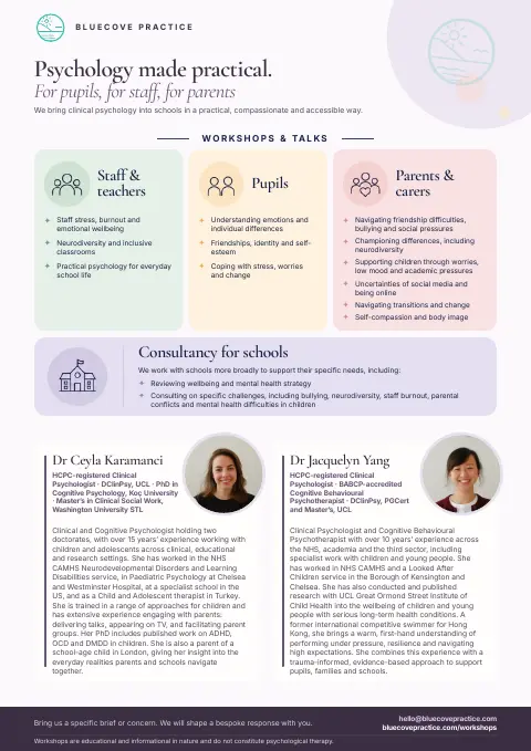 Bluecove Practice schools flyer with workshops for staff, pupils and parents, school consultancy and profiles of both psychologists.